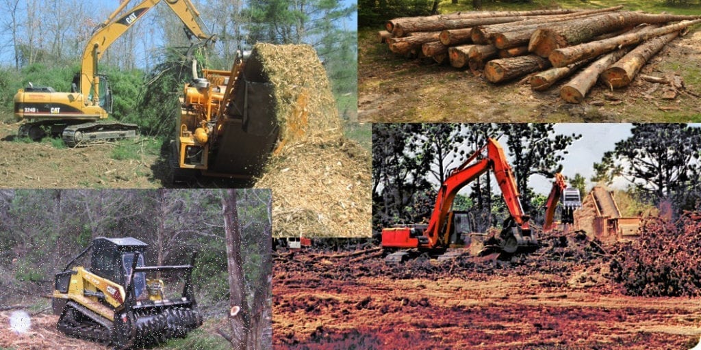 Tree Removal and Land Clearing: Removing Obstacles
