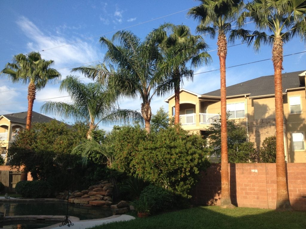 Types of Tree Trimming - Texas Tree Team - Houston Tree Service ...