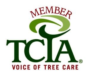Tree Service Safety - Tree Care Industry Association - Texas Tree Team