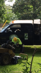 maintenance of tree pruning tools