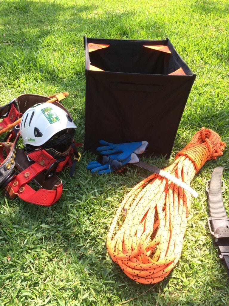 Tree Pruning Tools - Texas Tree Team - Houston Tree Service ...