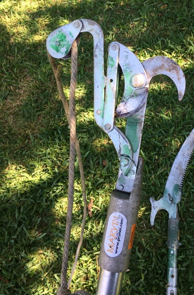 Tree Pruning Tools Texas Tree Team Houston Tree Service