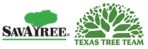 Texas Tree Team – Houston Tree Service & Consulting Arborists