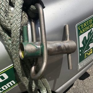 tree removal methods tree removal methods